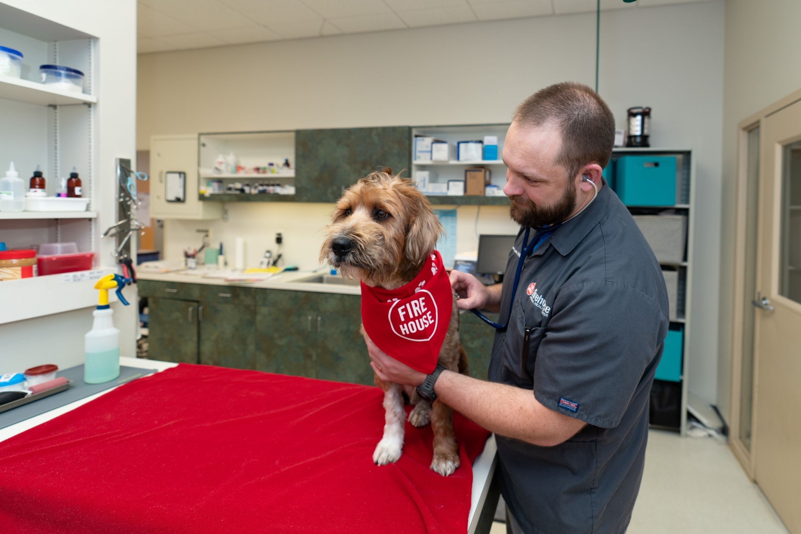 Best Veterinary Hospital In Round Rock, TX – Firehouse AH