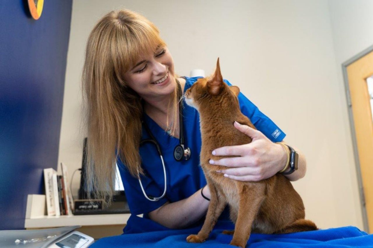 Best Veterinary Hospital In Round Rock, TX Firehouse AH