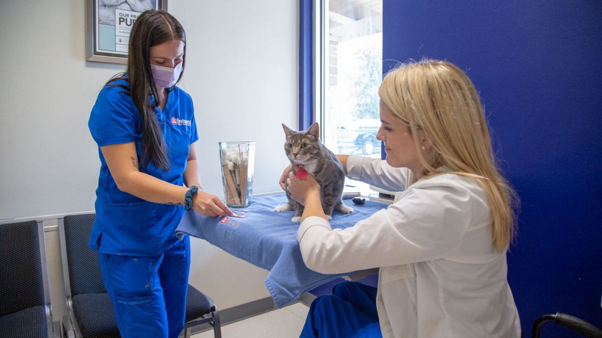 Veterinary Resources In Round Rock, TX Firehouse AH