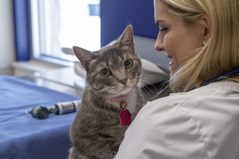 About Firehouse Round Rock Vet In Round Rock, TX 78664