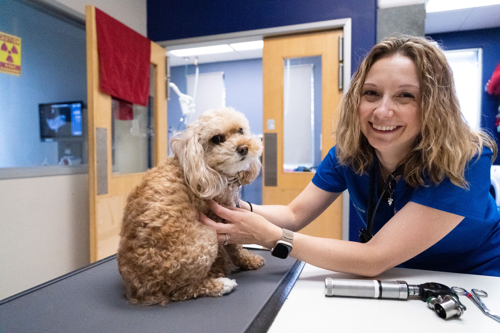 Happy Visits: These hospital drop-ins build positive experiences and memories using cuddles, playtime, and treats. Dr Tori Tran and dog