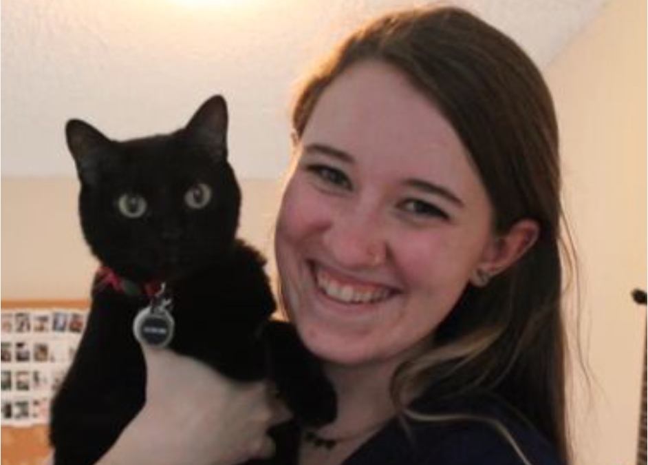 The Effects of Stress on Your Cat  You know your pet best. Call us if you see strange behavior.