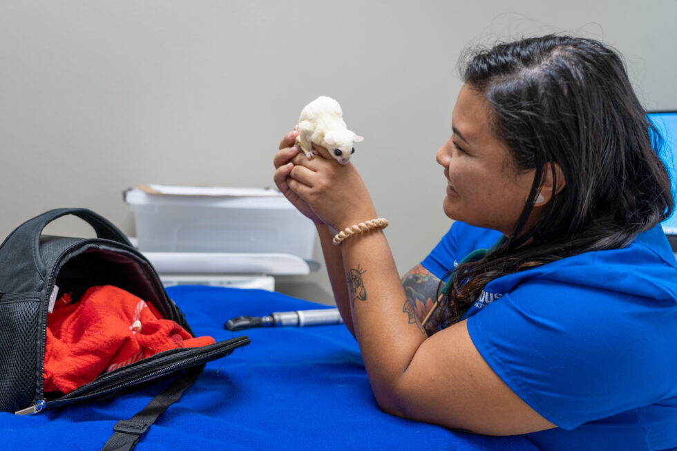 Best Veterinary Hospital In Round Rock, TX Firehouse AH