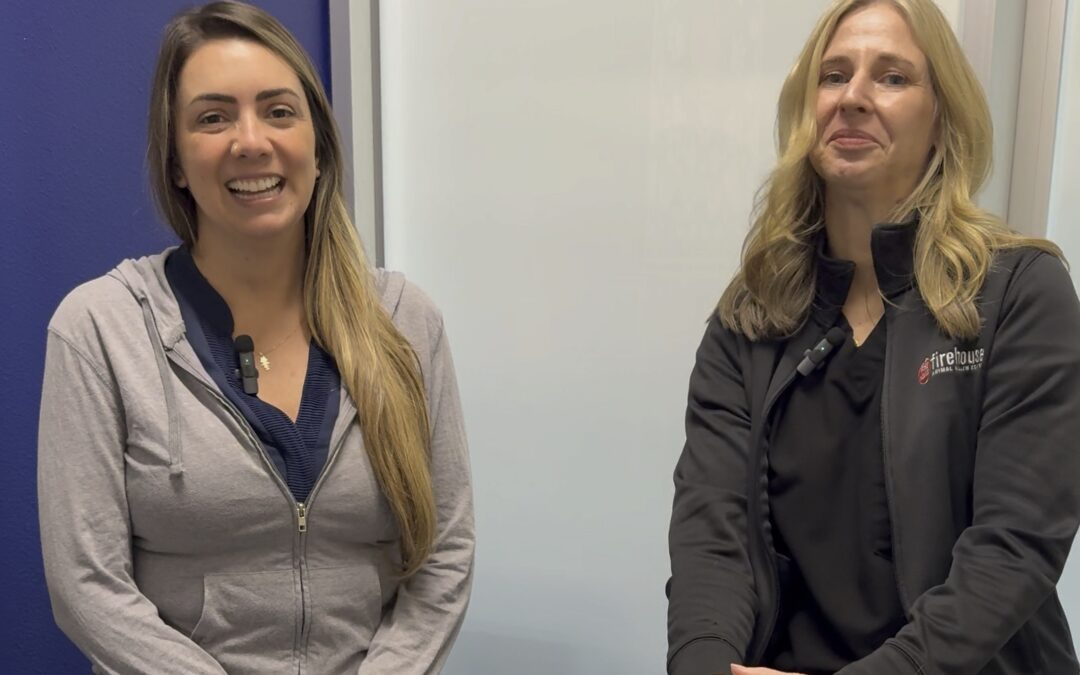 Signs and solutions for excessive exercise  Drs Barbara Boechat and Michelle Henthorne offer advice