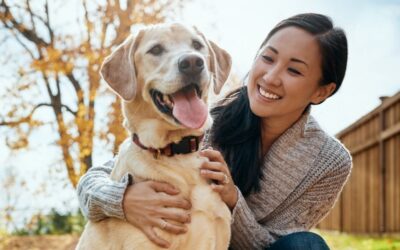Guard Your Cats & Dogs from Local Predators  5 steps to protect your pets from neighborhood wildlife