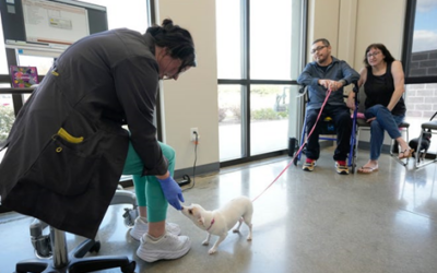 Season for Caring: Firehouse Gives Back  Providing medical care for pets and families